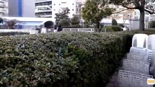 99热视频只有精品国产奇米网,成人视频高清免费观看